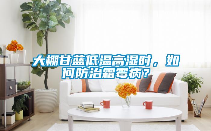 大棚甘藍(lán)低溫高濕時(shí)，如何防治霜霉?。?/></p>
						    <p style=