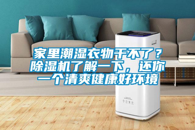 家里潮濕衣物干不了？除濕機(jī)了解一下，還你一個(gè)清爽健康好環(huán)境