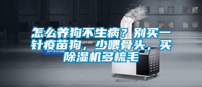 怎么養(yǎng)狗不生病？別買一針疫苗狗，少喂骨頭，買除濕機多梳毛