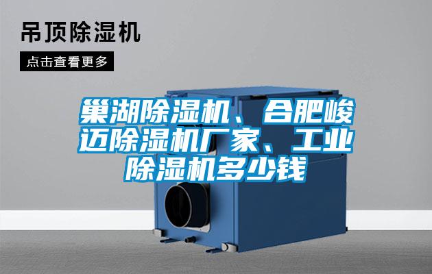巢湖除濕機(jī)、合肥峻邁除濕機(jī)廠家、工業(yè)除濕機(jī)多少錢