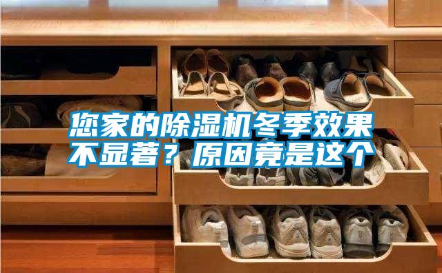 您家的除濕機(jī)冬季效果不顯著？原因竟是這個(gè)