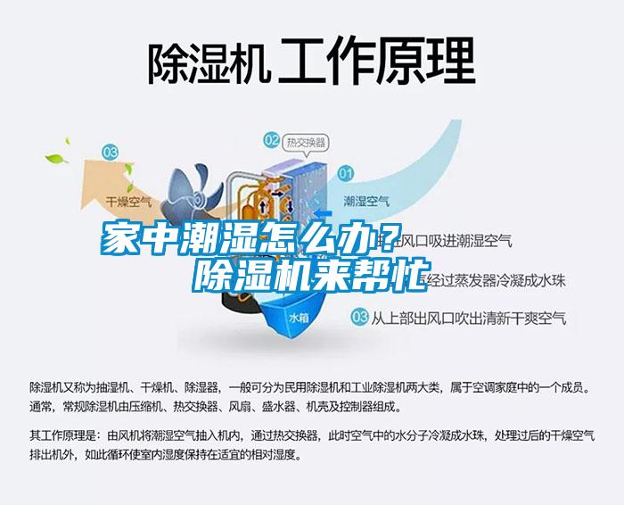 家中潮濕怎么辦？    除濕機(jī)來(lái)幫忙
