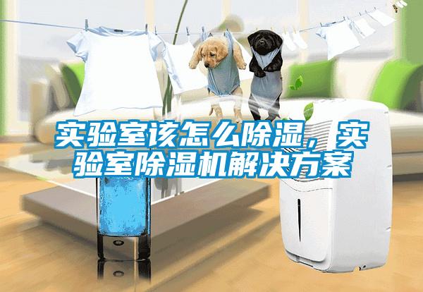 實(shí)驗(yàn)室該怎么除濕，實(shí)驗(yàn)室除濕機(jī)解決方案