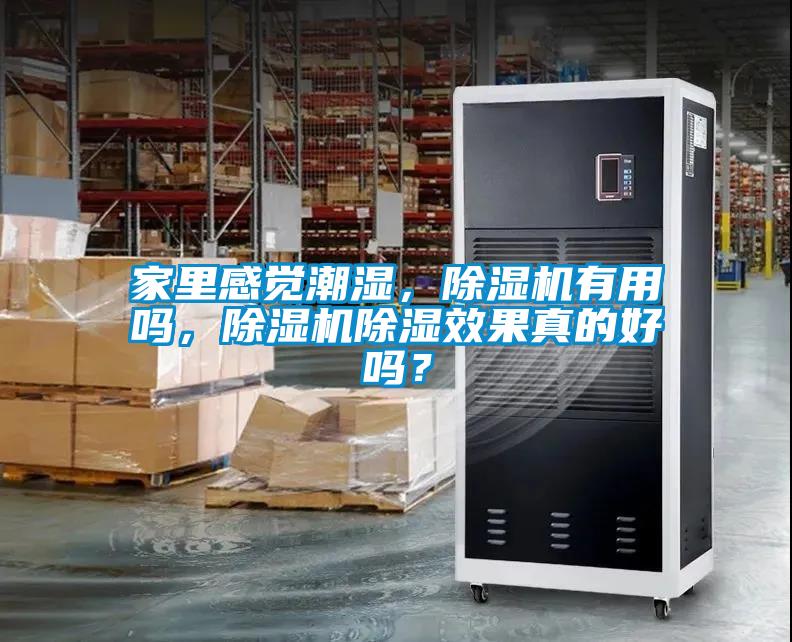 家里感覺潮濕，除濕機(jī)有用嗎，除濕機(jī)除濕效果真的好嗎？