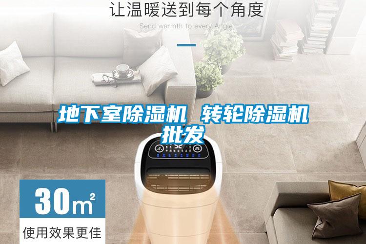 地下室除濕機 轉(zhuǎn)輪除濕機批發(fā)