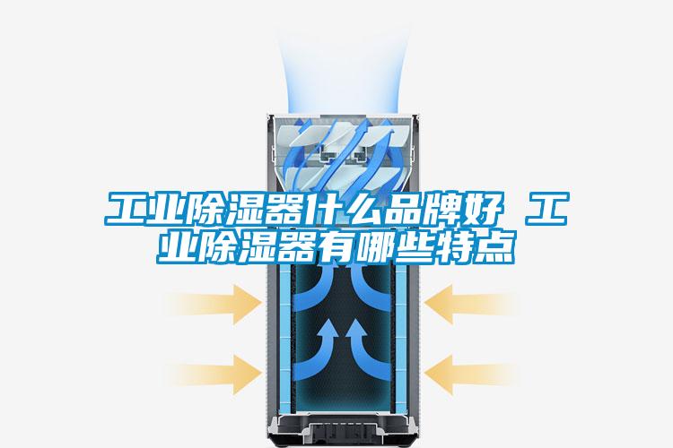 工業(yè)除濕器什么品牌好 工業(yè)除濕器有哪些特點