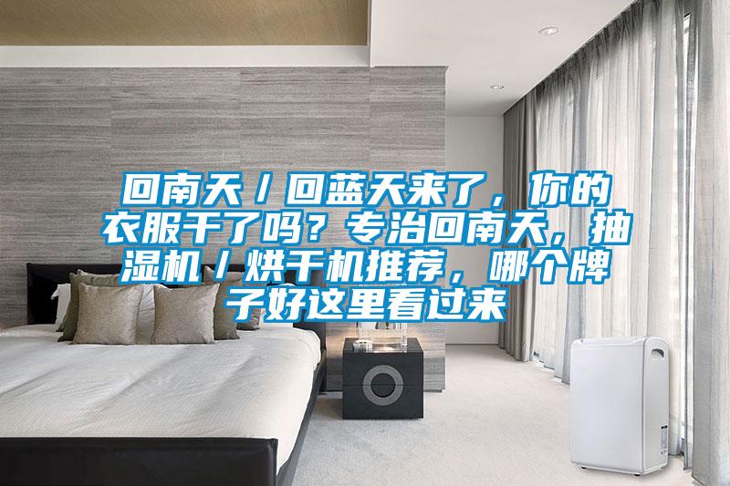 回南天／回藍(lán)天來了，你的衣服干了嗎？專治回南天，抽濕機(jī)／烘干機(jī)推薦，哪個(gè)牌子好這里看過來