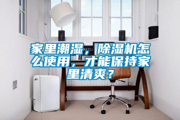 家里潮濕，除濕機(jī)怎么使用，才能保持家里清爽？