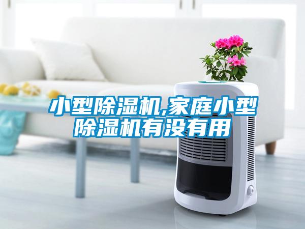小型除濕機,家庭小型除濕機有沒有用