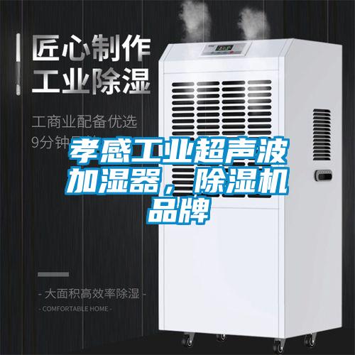 孝感工業(yè)超聲波加濕器，除濕機(jī)品牌