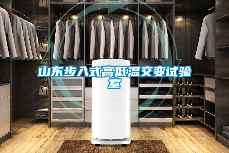 山東步入式高低溫交變試驗(yàn)室