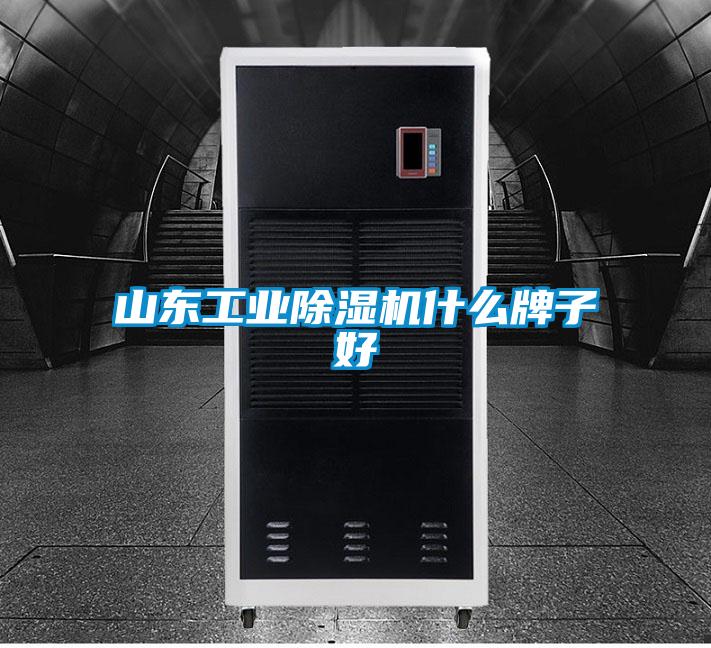 山東工業(yè)除濕機(jī)什么牌子好