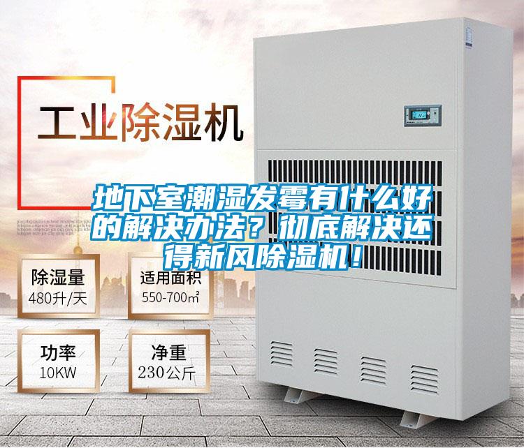 地下室潮濕發(fā)霉有什么好的解決辦法？徹底解決還得新風(fēng)除濕機(jī)！