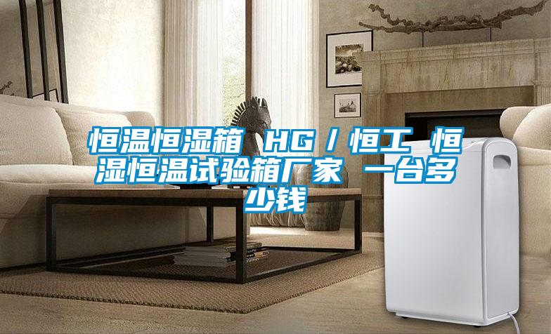 恒溫恒濕箱 HG／恒工 恒濕恒溫試驗(yàn)箱廠家 一臺(tái)多少錢