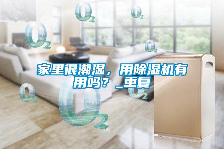 家里很潮濕，用除濕機有用嗎？_重復(fù)