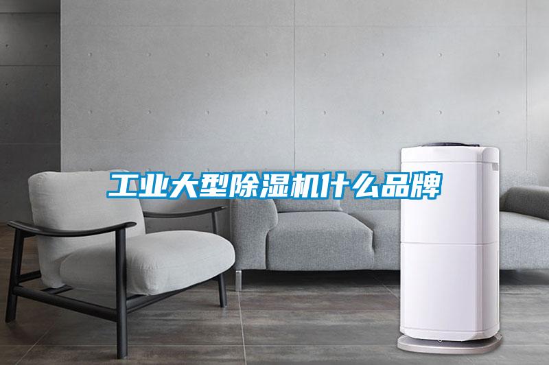 工業(yè)大型除濕機(jī)什么品牌