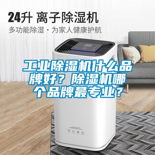 工業(yè)除濕機(jī)什么品牌好？除濕機(jī)哪個(gè)品牌最專業(yè)？