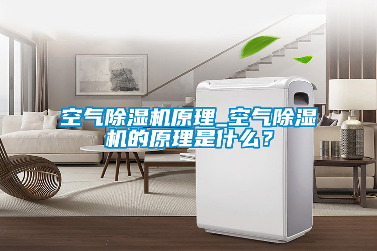 空氣除濕機原理_空氣除濕機的原理是什么？
