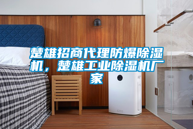 楚雄招商代理防爆除濕機，楚雄工業(yè)除濕機廠家