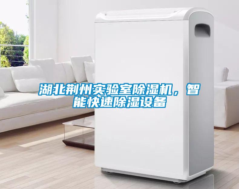 湖北荊州實驗室除濕機，智能快速除濕設備