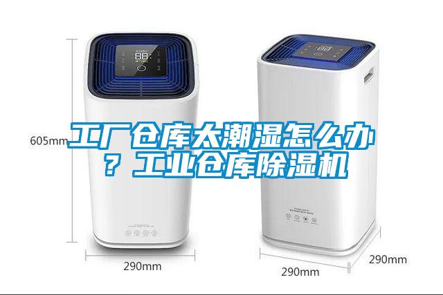 工廠倉庫太潮濕怎么辦？工業(yè)倉庫除濕機
