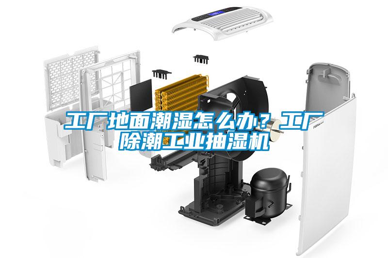 工廠地面潮濕怎么辦？工廠除潮工業(yè)抽濕機