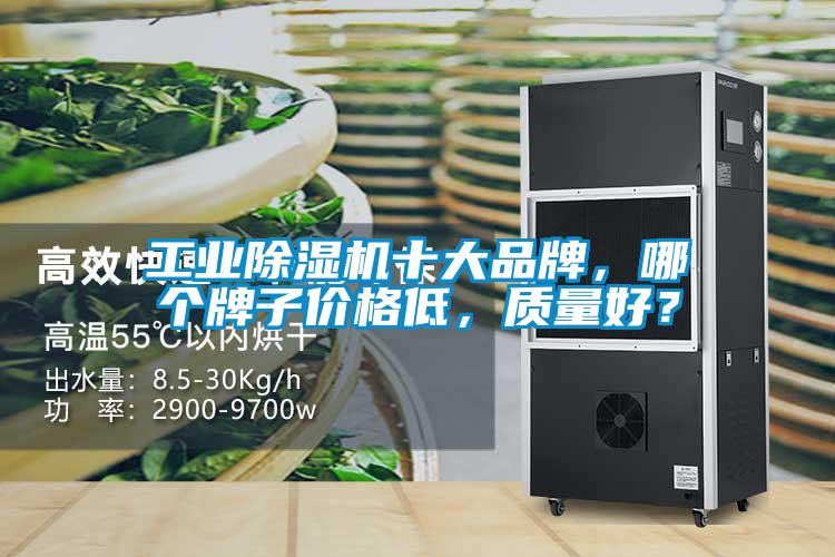工業(yè)除濕機(jī)十大品牌，哪個(gè)牌子價(jià)格低，質(zhì)量好？