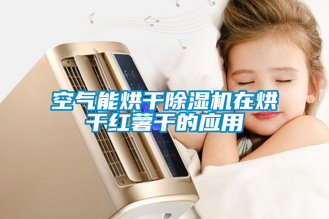 空氣能烘干除濕機在烘干紅薯干的應(yīng)用