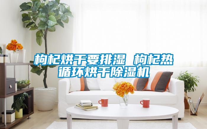 枸杞烘干要排濕 枸杞熱循環(huán)烘干除濕機(jī)