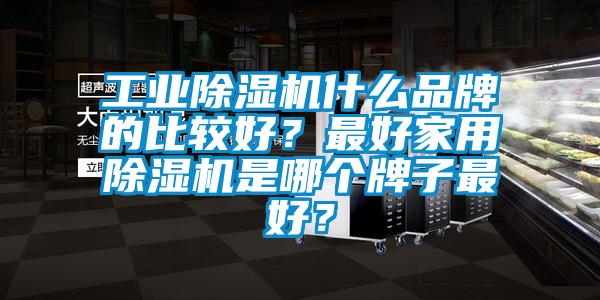 工業(yè)除濕機(jī)什么品牌的比較好？最好家用除濕機(jī)是哪個牌子最好？