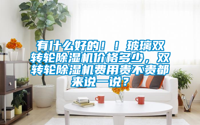 有什么好的??！玻璃雙轉(zhuǎn)輪除濕機(jī)價格多少，雙轉(zhuǎn)輪除濕機(jī)費(fèi)用貴不貴都來說一說？
