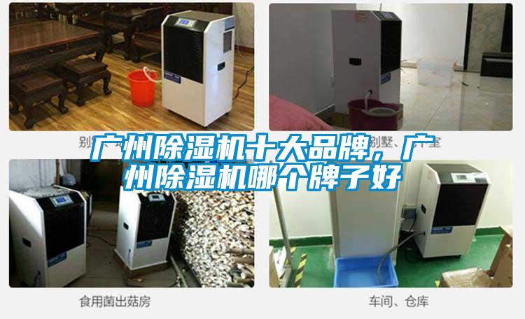 廣州除濕機十大品牌，廣州除濕機哪個牌子好