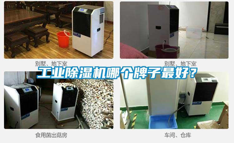 工業(yè)除濕機(jī)哪個(gè)牌子最好？