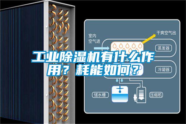 工業(yè)除濕機(jī)有什么作用？耗能如何？