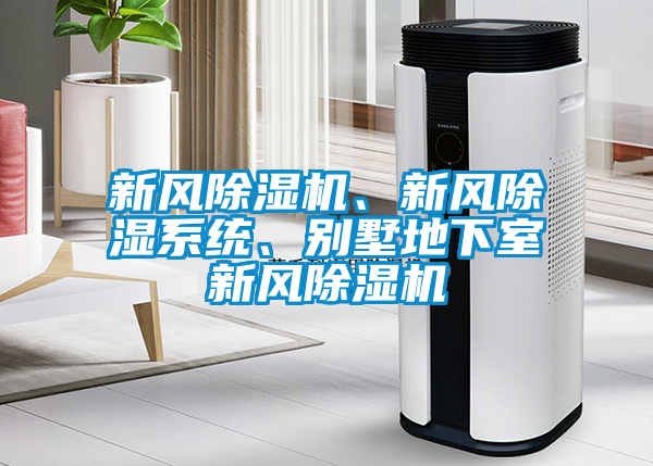 新風(fēng)除濕機(jī)、新風(fēng)除濕系統(tǒng)、別墅地下室新風(fēng)除濕機(jī)