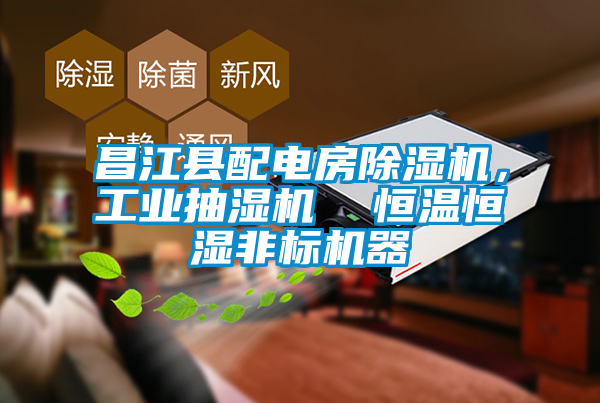 昌江縣配電房除濕機，工業(yè)抽濕機  恒溫恒濕非標機器