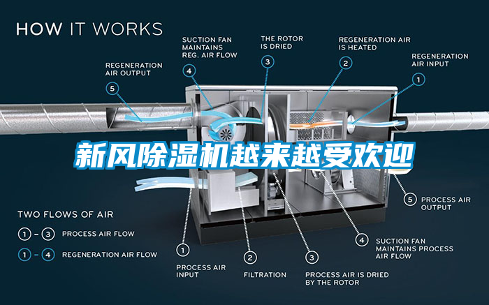 新風(fēng)除濕機越來越受歡迎