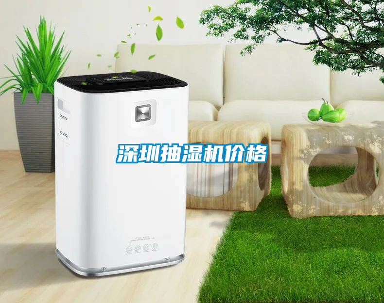 深圳抽濕機(jī)價格