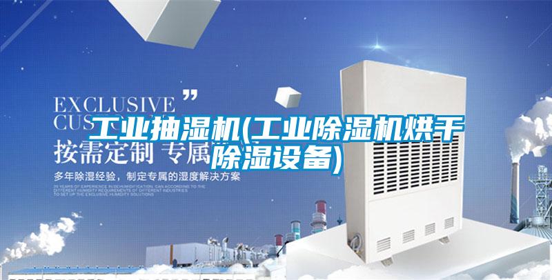 工業(yè)抽濕機(工業(yè)除濕機烘干除濕設(shè)備)