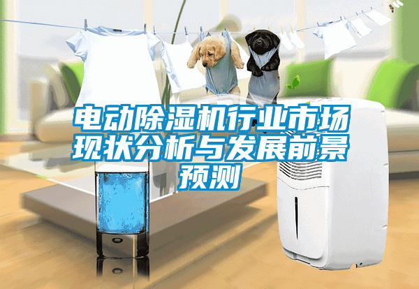 電動除濕機(jī)行業(yè)市場現(xiàn)狀分析與發(fā)展前景預(yù)測