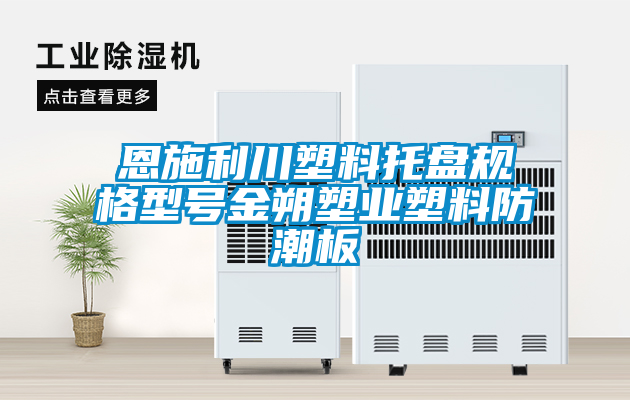 恩施利川塑料托盤規(guī)格型號(hào)金朔塑業(yè)塑料防潮板