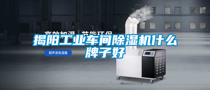 揭陽工業(yè)車間除濕機(jī)什么牌子好