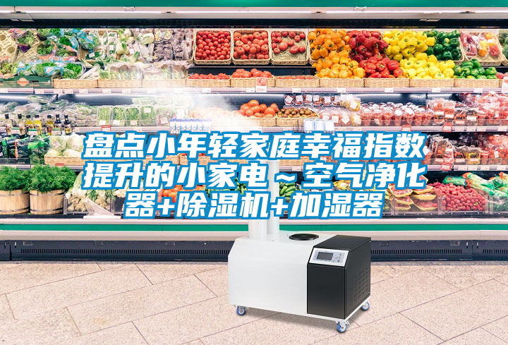 盤點小年輕家庭幸福指數(shù)提升的小家電～空氣凈化器+除濕機+加濕器