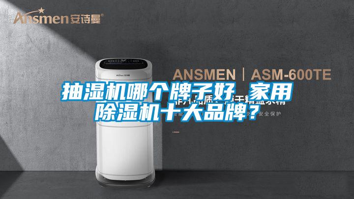 抽濕機(jī)哪個(gè)牌子好 家用除濕機(jī)十大品牌？