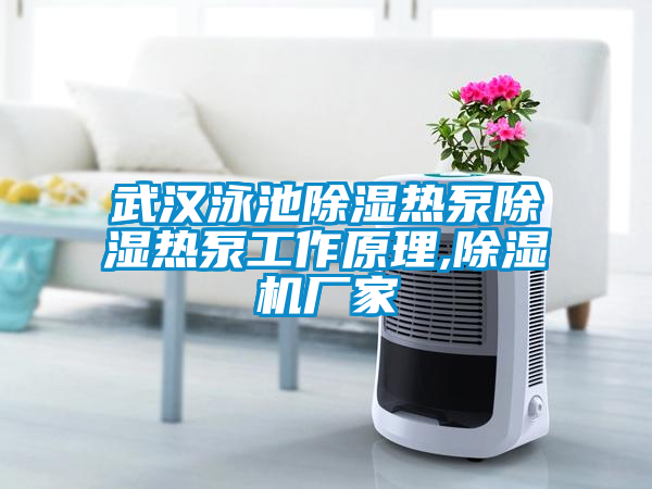 武漢泳池除濕熱泵除濕熱泵工作原理,除濕機(jī)廠家