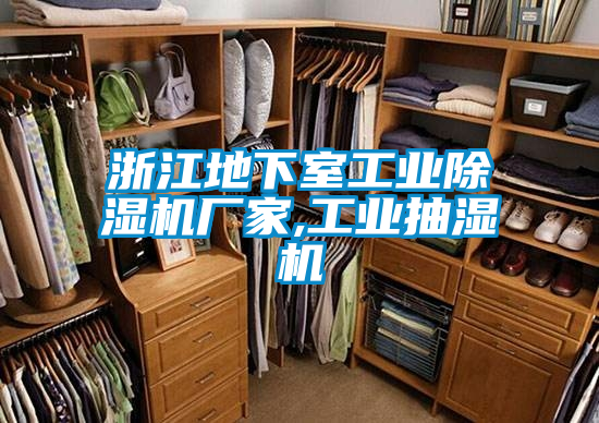 浙江地下室工業(yè)除濕機廠家,工業(yè)抽濕機