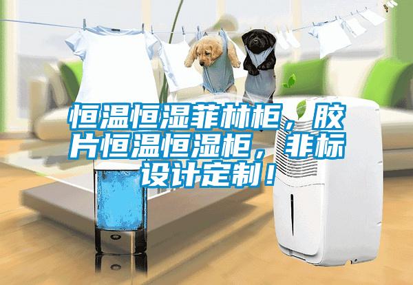 恒溫恒濕菲林柜，膠片恒溫恒濕柜，非標(biāo)設(shè)計定制！
