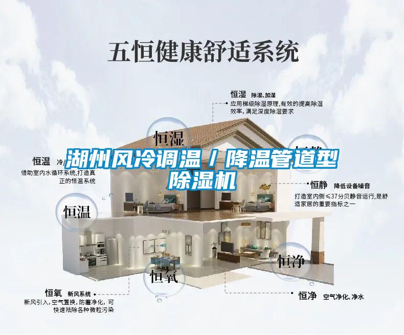 湖州風冷調(diào)溫／降溫管道型除濕機