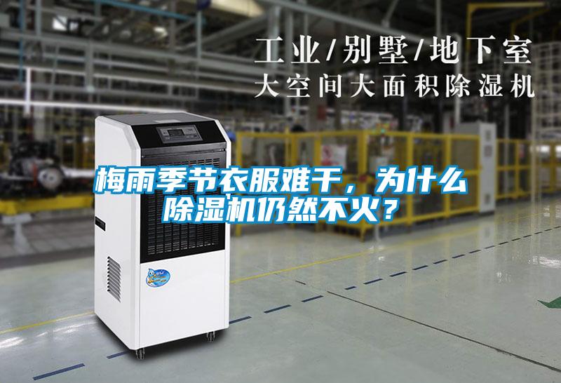 梅雨季節(jié)衣服難干，為什么除濕機(jī)仍然不火？