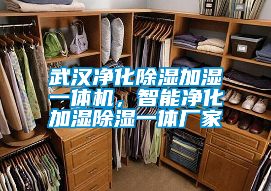 武漢凈化除濕加濕一體機(jī)，智能凈化加濕除濕一體廠家